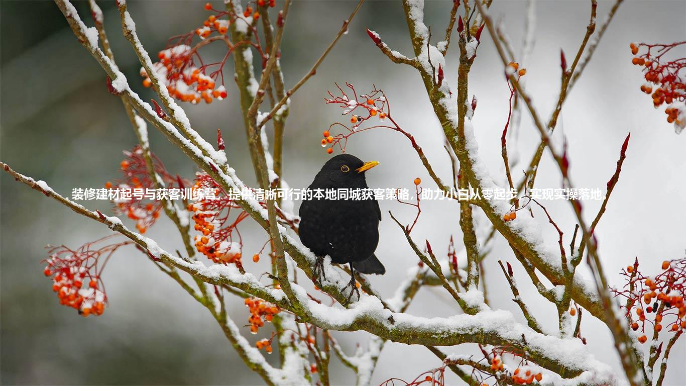 装修建材起号与获客训练营，提供清晰可行的本地同城获客策略，助力小白从零起步，实现实操落地。