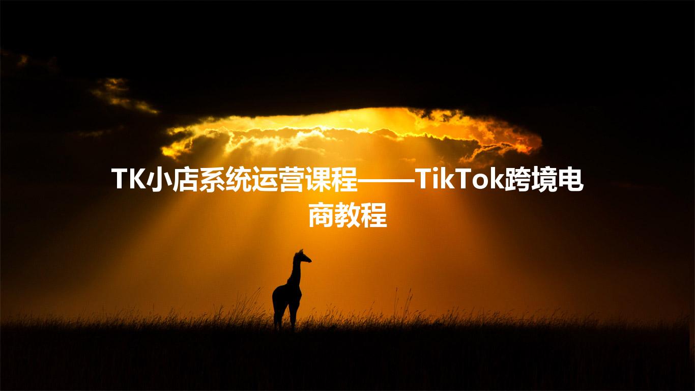 TK小店系统运营课程——TikTok跨境电商教程