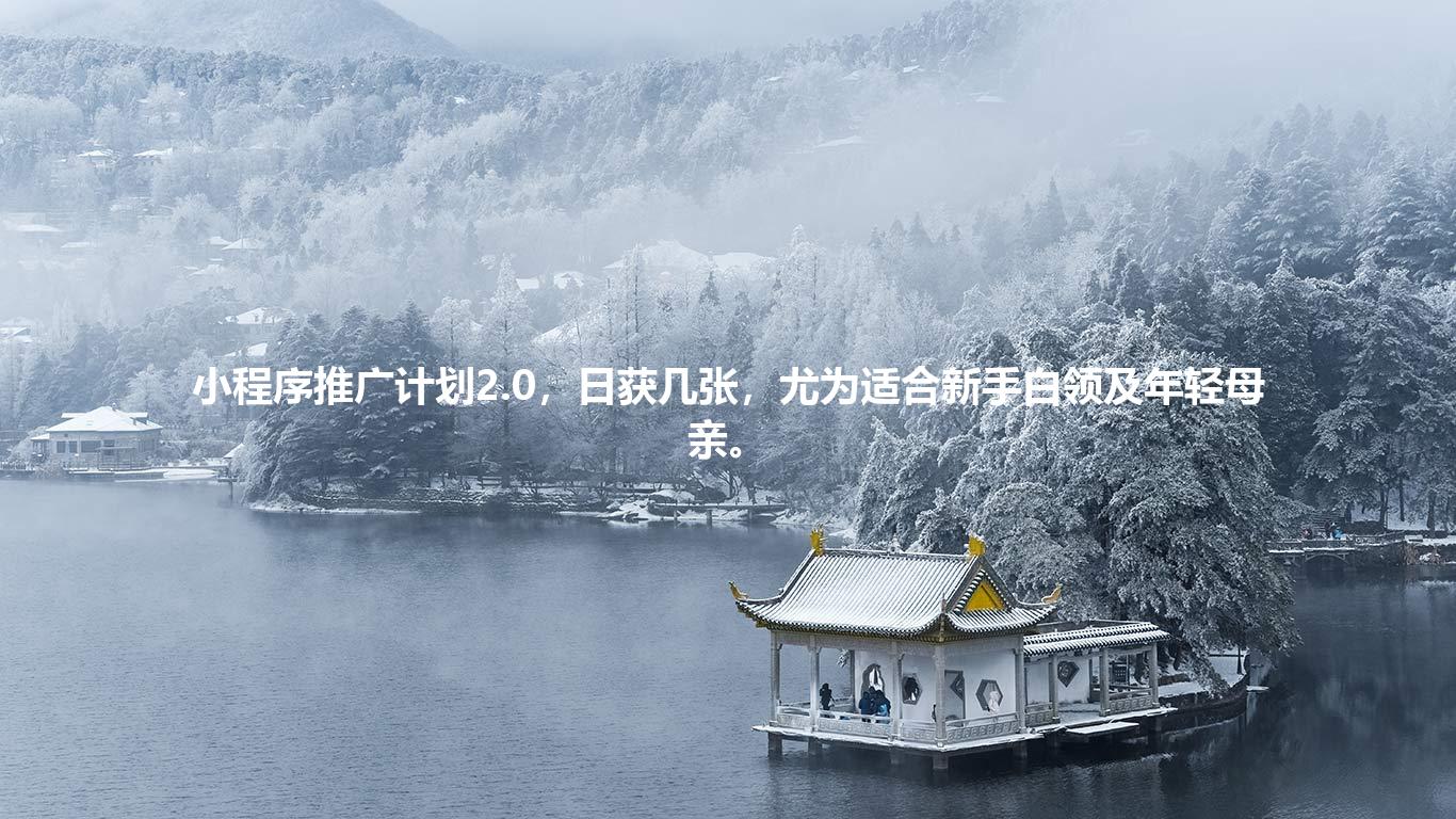 小程序推广计划2.0，日获几张，尤为适合新手白领及年轻母亲。