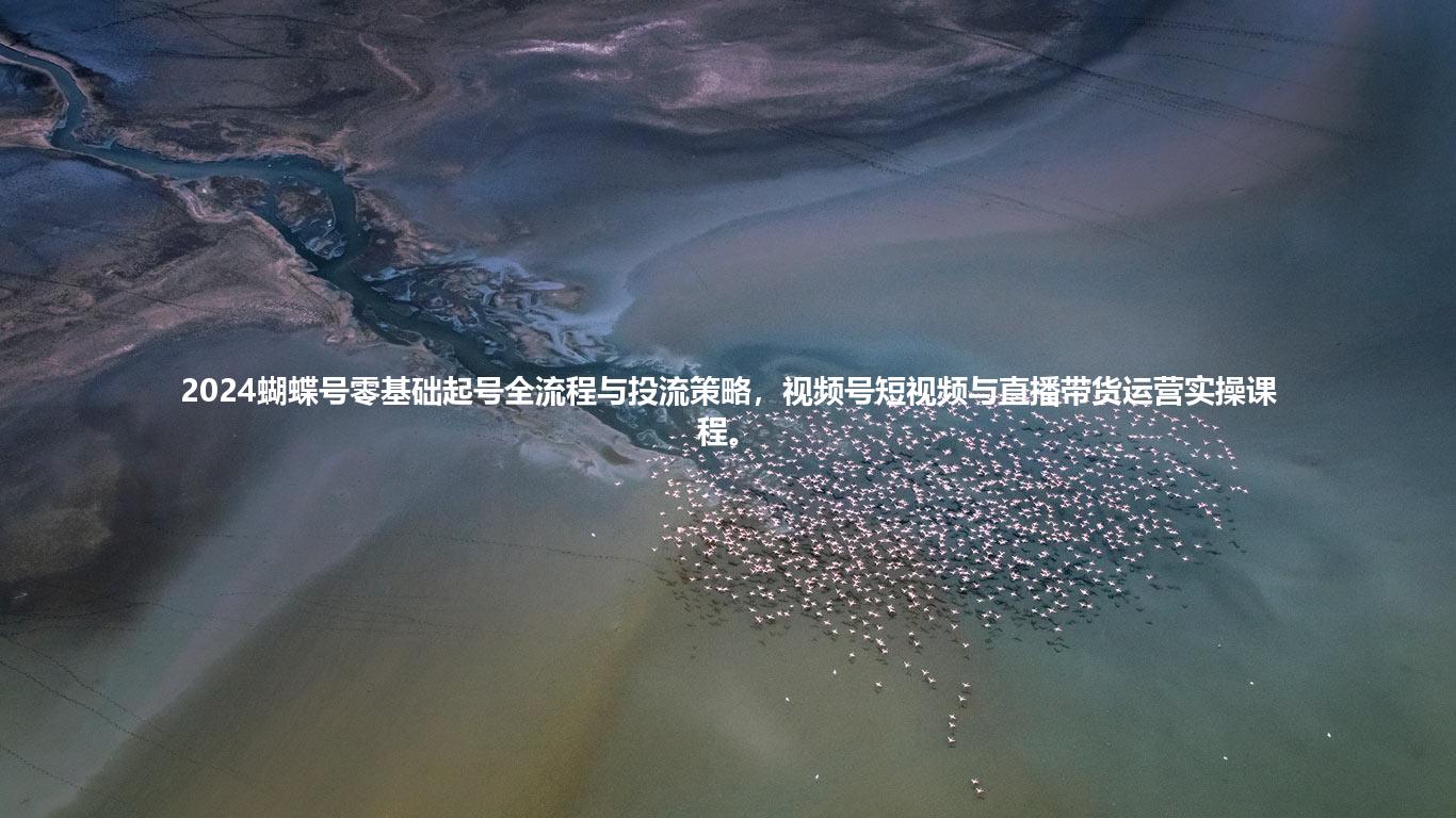 2024蝴蝶号零基础起号全流程与投流策略，视频号短视频与直播带货运营实操课程。