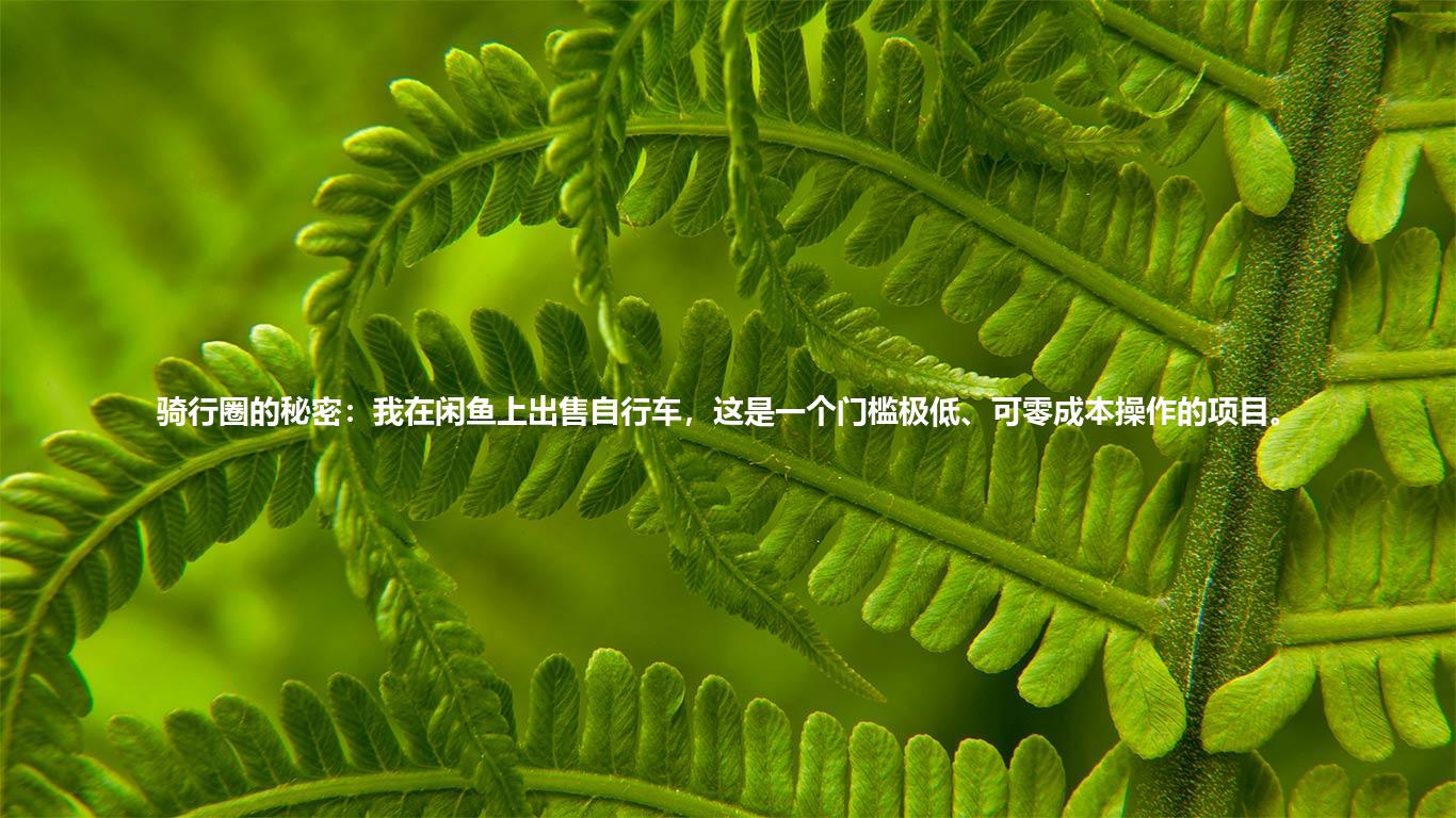 骑行圈的秘密：我在闲鱼上出售自行车，这是一个门槛极低、可零成本操作的项目。