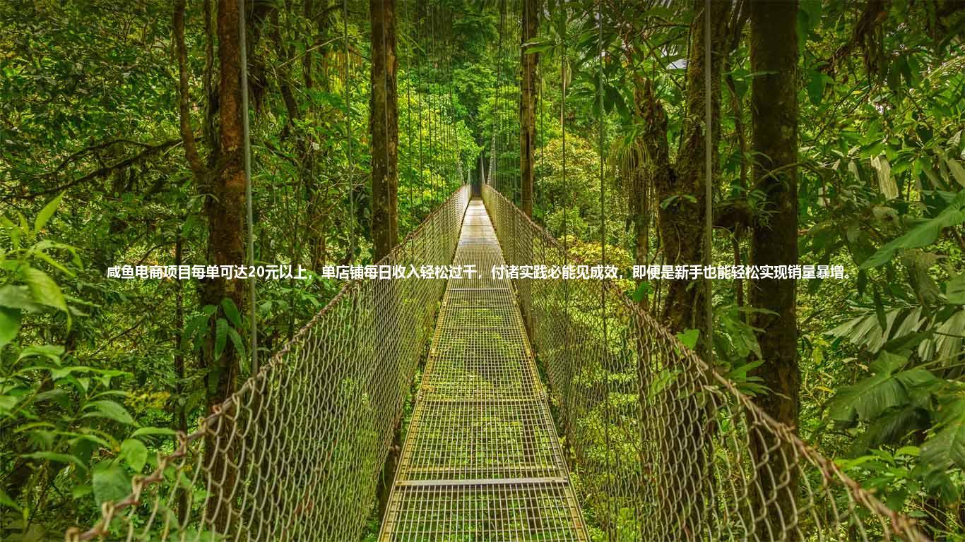 咸鱼电商项目每单可达20元以上，单店铺每日收入轻松过千，付诸实践必能见成效，即便是新手也能轻松实现销量暴增。