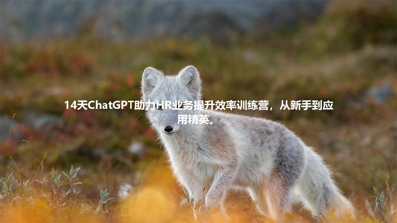 14天ChatGPT助力HR业务提升效率训练营，从新手到应用精英。