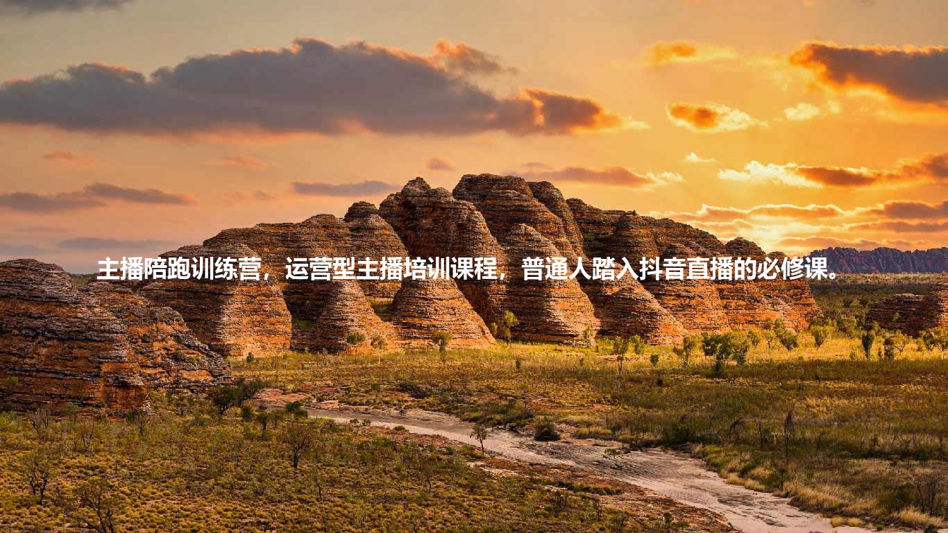 主播陪跑训练营，运营型主播培训课程，普通人踏入抖音直播的必修课。