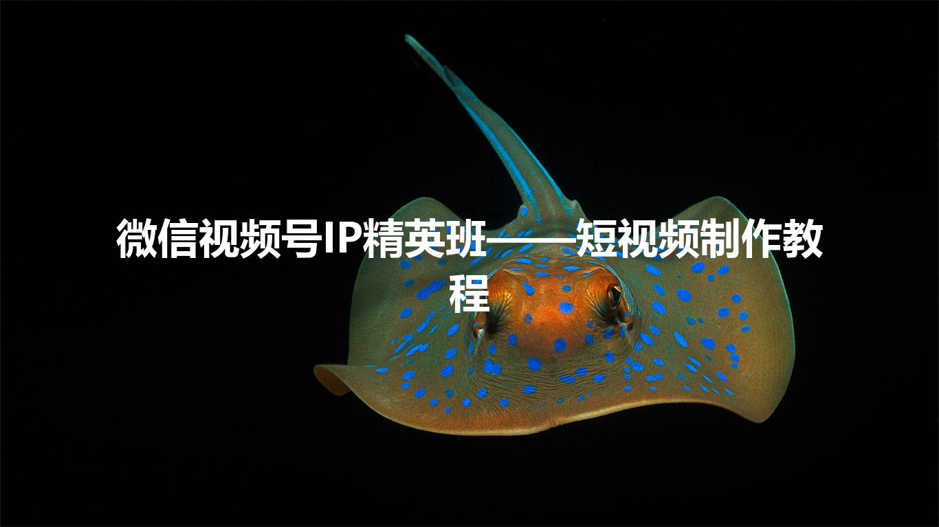 微信视频号IP精英班——短视频制作教程