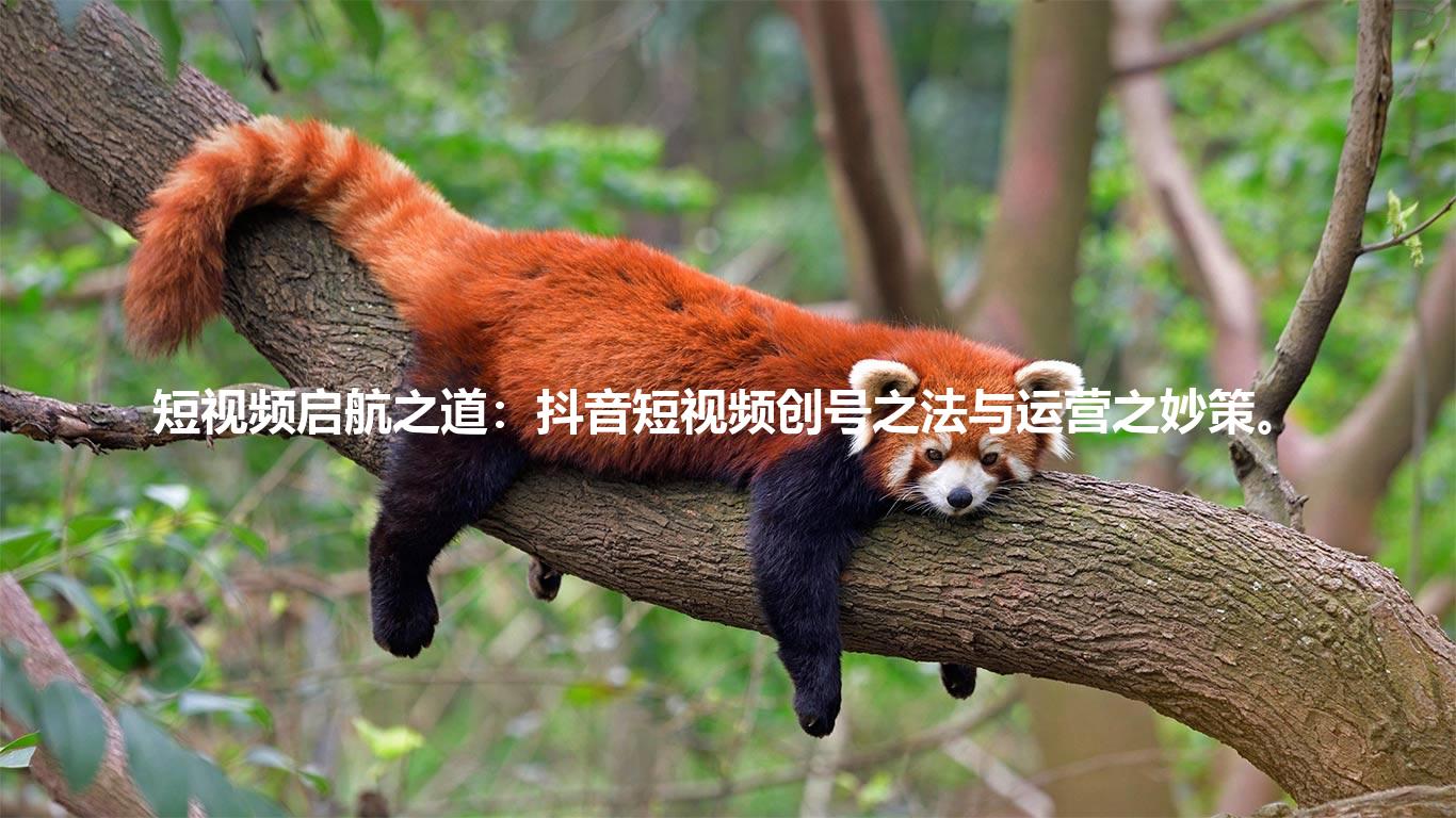 短视频启航之道：抖音短视频创号之法与运营之妙策。