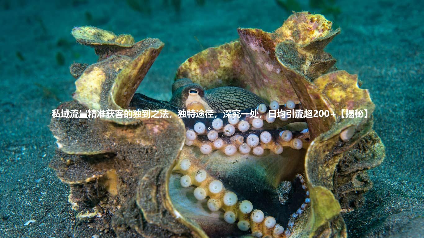 私域流量精准获客的独到之法，独特途径，深究一处，日均引流超200+【揭秘】。