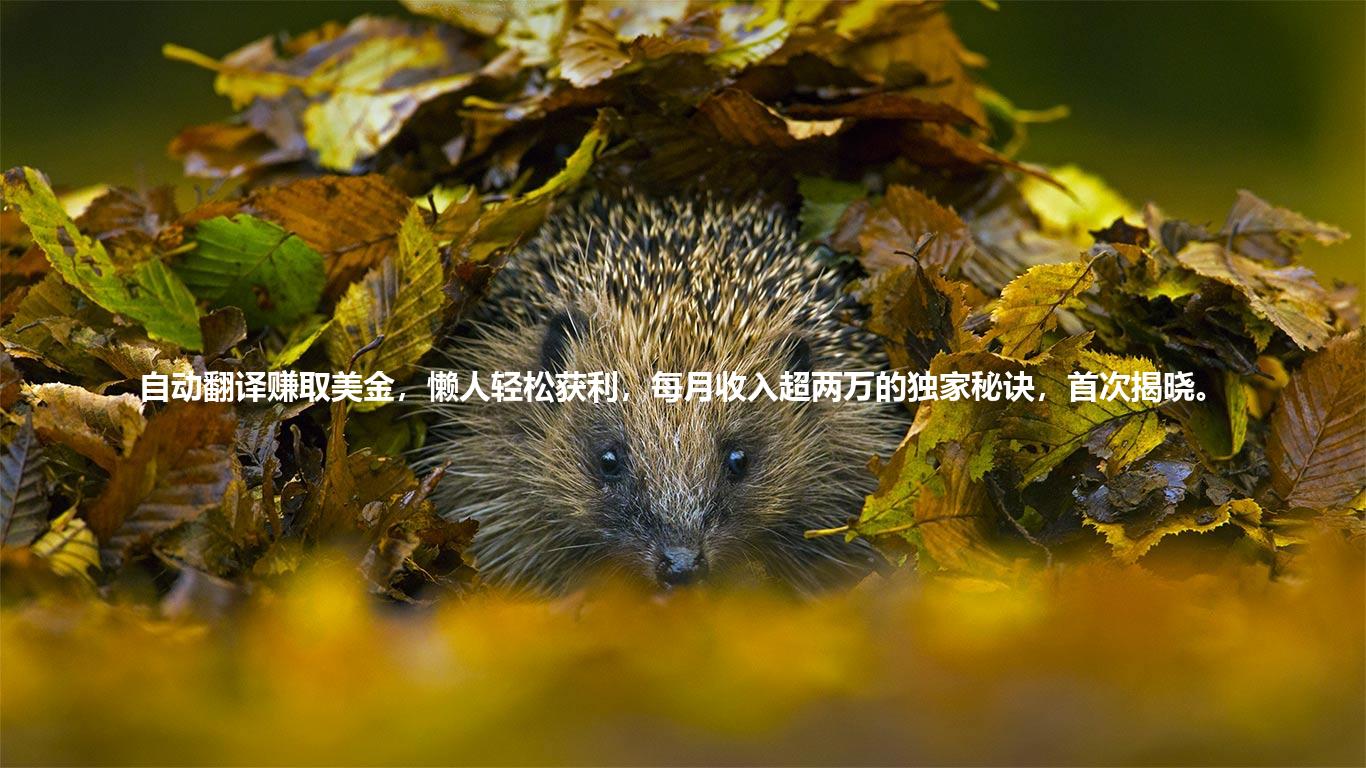 自动翻译赚取美金，懒人轻松获利，每月收入超两万的独家秘诀，首次揭晓。