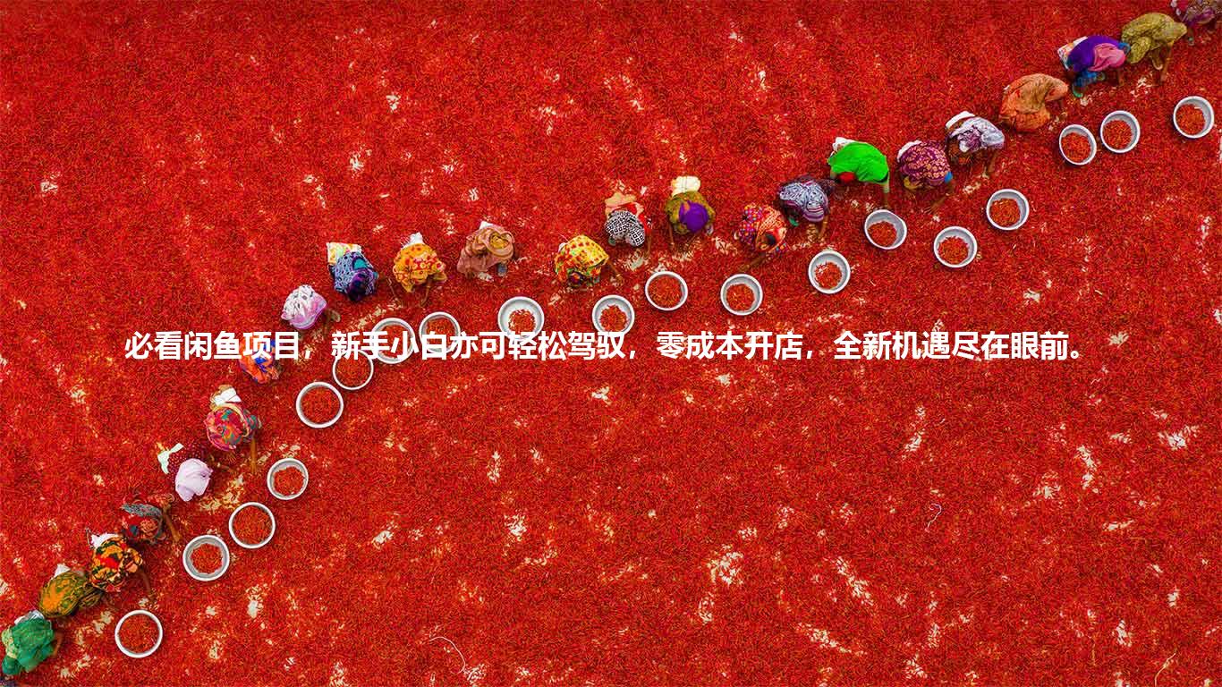 必看闲鱼项目，新手小白亦可轻松驾驭，零成本开店，全新机遇尽在眼前。