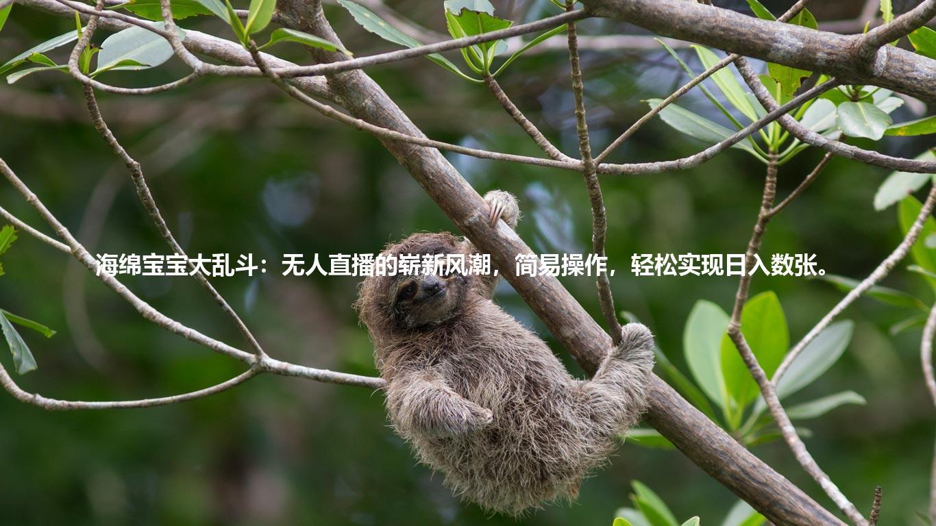 海绵宝宝大乱斗：无人直播的崭新风潮，简易操作，轻松实现日入数张。