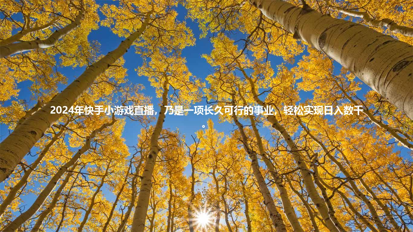 2024年快手小游戏直播，乃是一项长久可行的事业，轻松实现日入数千。