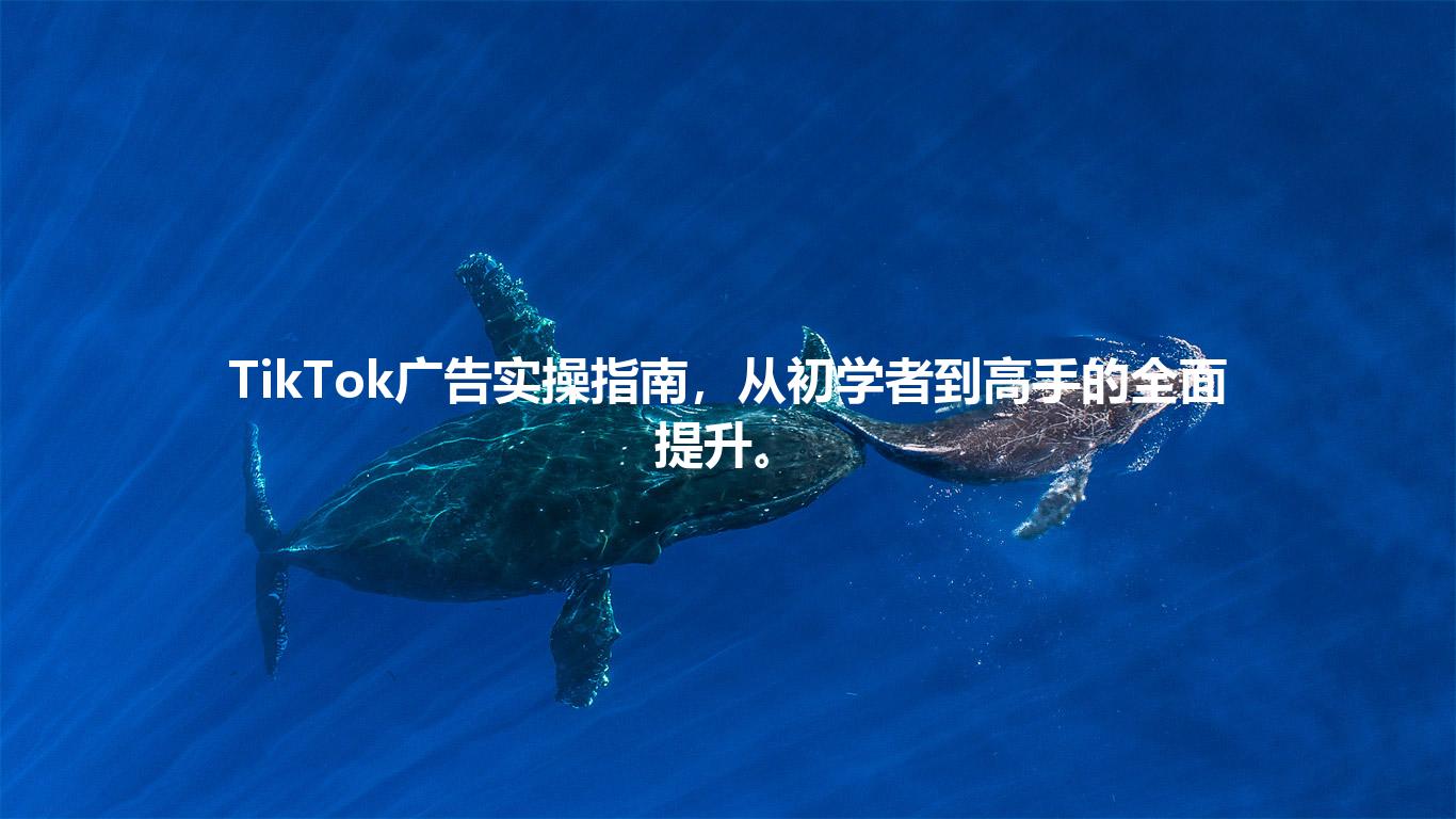 TikTok广告实操指南，从初学者到高手的全面提升。