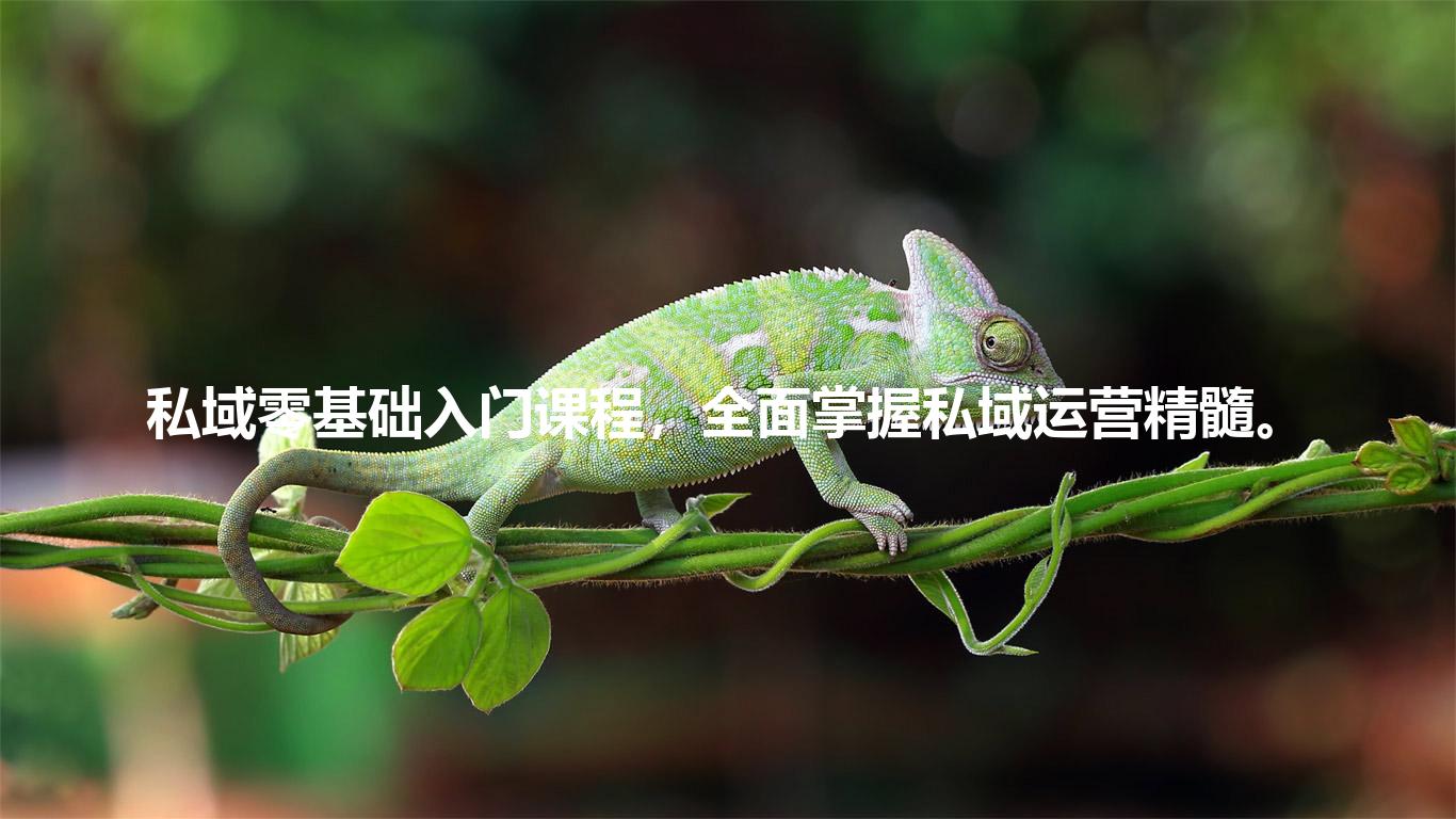 私域零基础入门课程，全面掌握私域运营精髓。