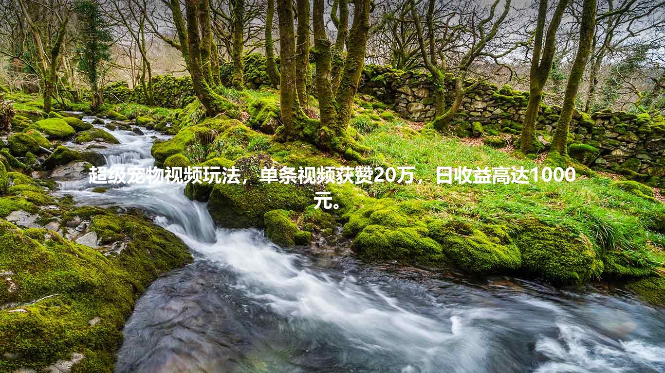 超级宠物视频玩法，单条视频获赞20万，日收益高达1000元。