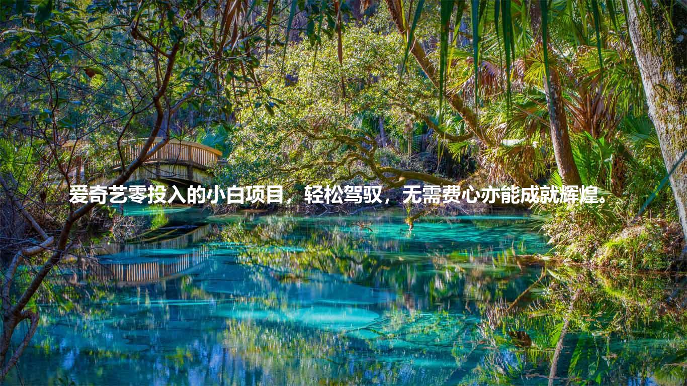 爱奇艺零投入的小白项目，轻松驾驭，无需费心亦能成就辉煌。