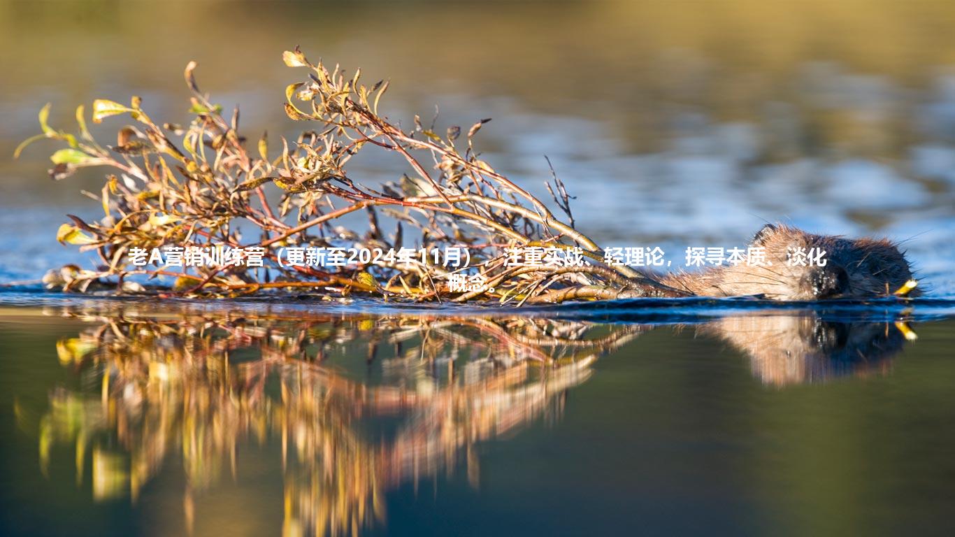 老A营销训练营（更新至2024年11月），注重实战、轻理论，探寻本质、淡化概念。