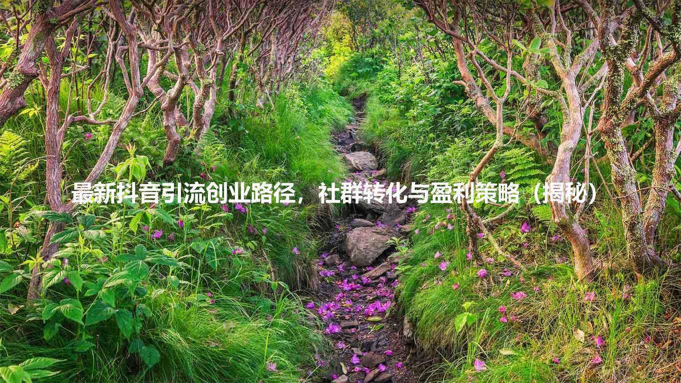 最新抖音引流创业路径，社群转化与盈利策略（揭秘）