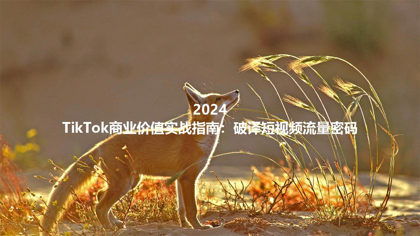 2024 TikTok商业价值实战指南：破译短视频流量密码