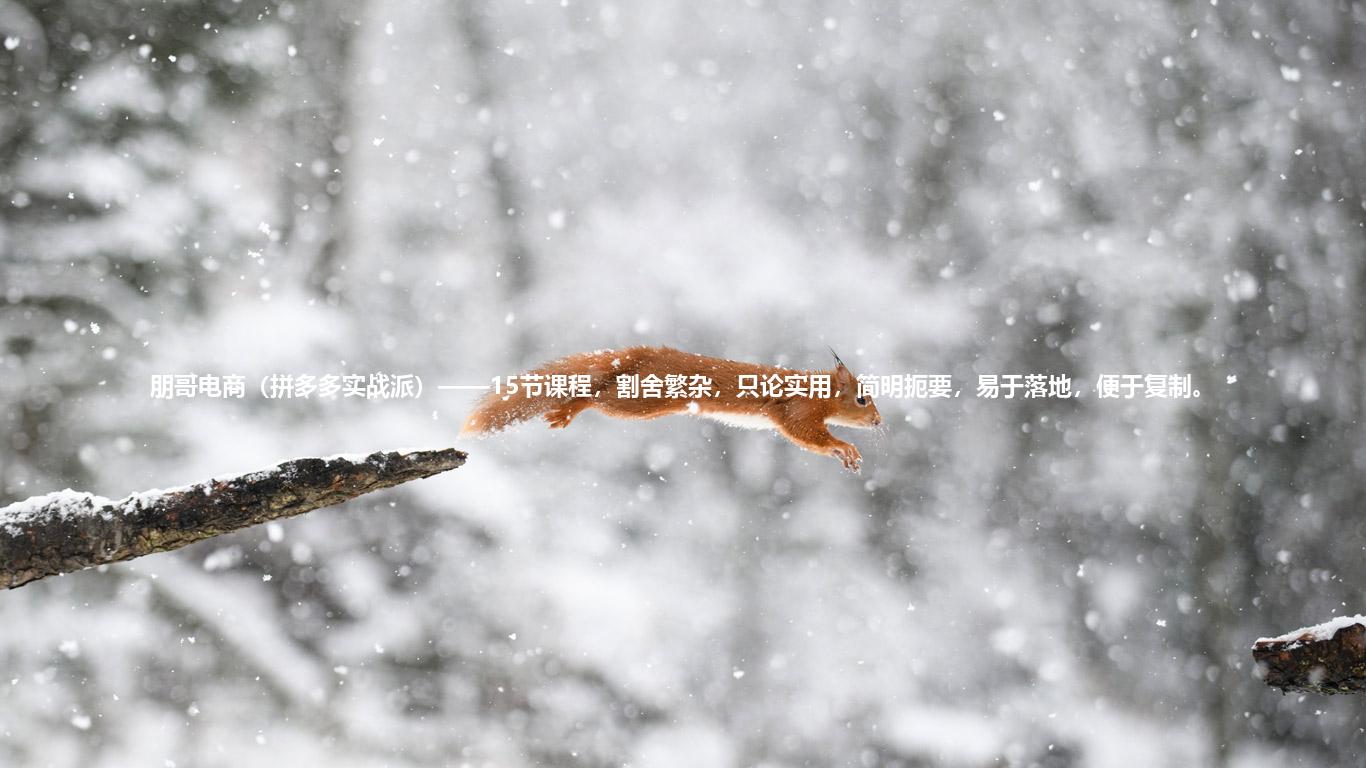 朋哥电商（拼多多实战派）——15节课程，割舍繁杂，只论实用，简明扼要，易于落地，便于复制。