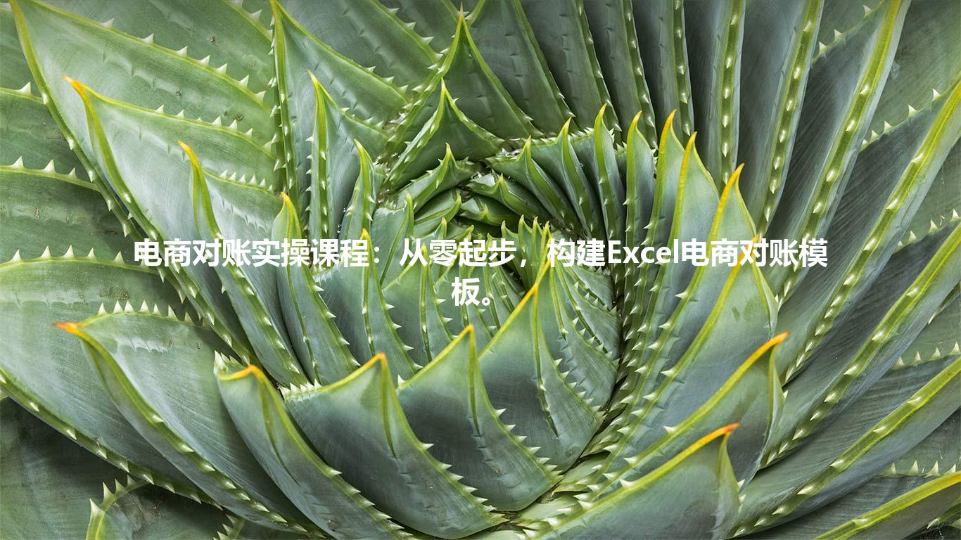 电商对账实操课程：从零起步，构建Excel电商对账模板。