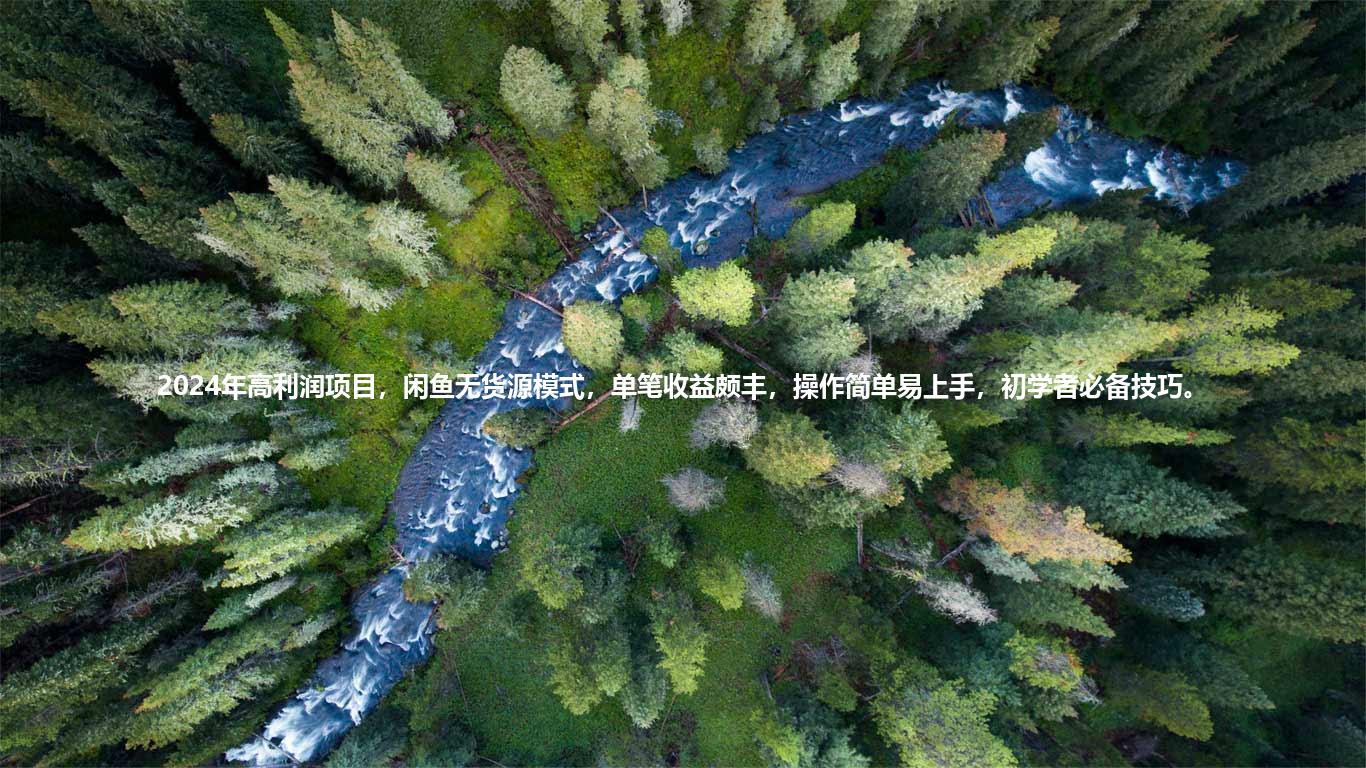 2024年高利润项目，闲鱼无货源模式，单笔收益颇丰，操作简单易上手，初学者必备技巧。