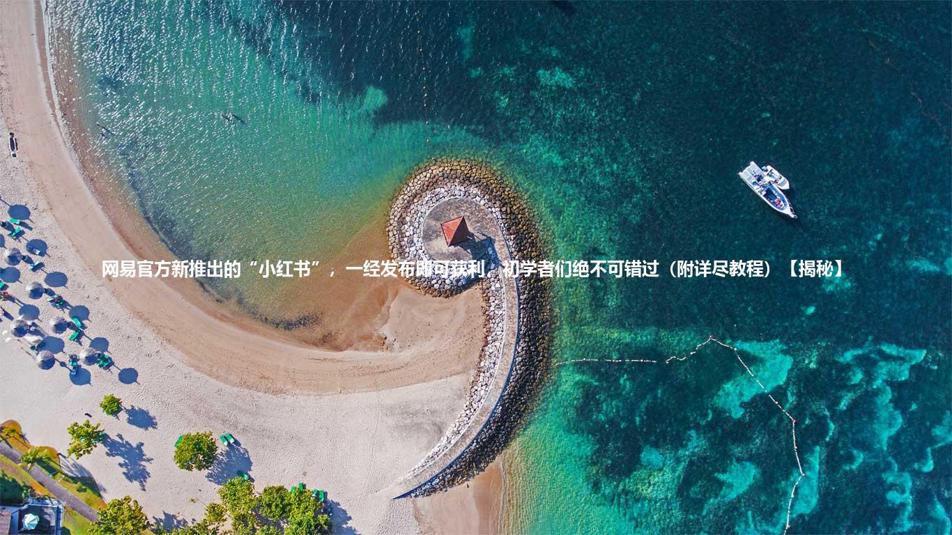 网易官方新推出的“小红书”，一经发布即可获利，初学者们绝不可错过（附详尽教程）【揭秘】