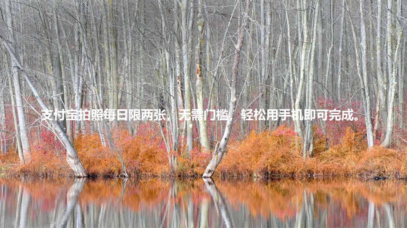 支付宝拍照每日限两张，无需门槛，轻松用手机即可完成。