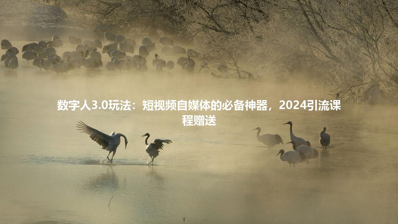 数字人3.0玩法：短视频自媒体的必备神器，2024引流课程赠送