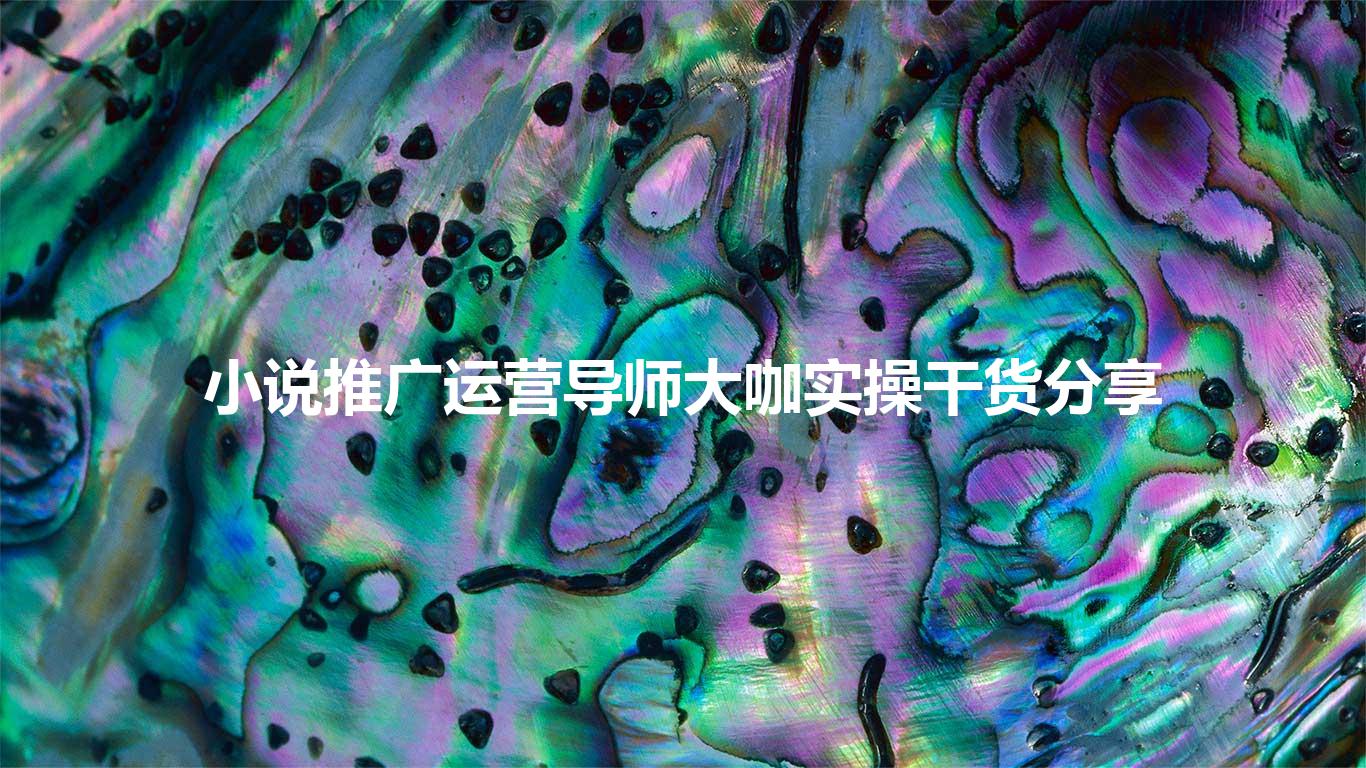 小说推广运营导师大咖实操干货分享