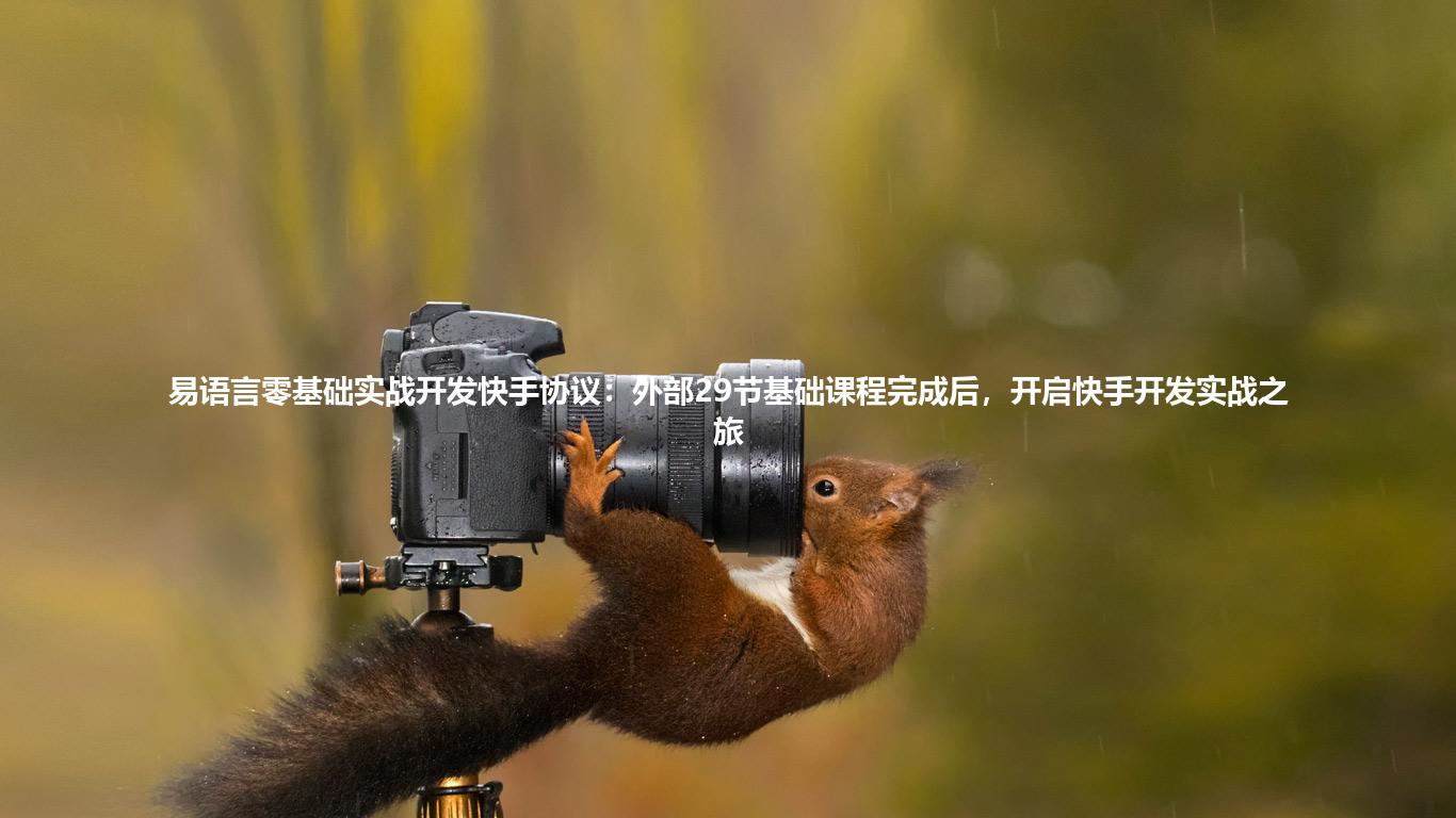 易语言零基础实战开发快手协议：外部29节基础课程完成后，开启快手开发实战之旅