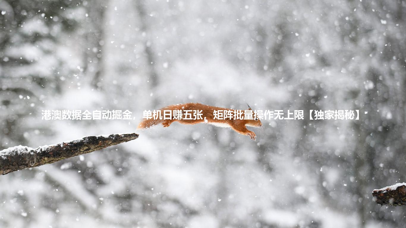 港澳数据全自动掘金，单机日赚五张，矩阵批量操作无上限【独家揭秘】