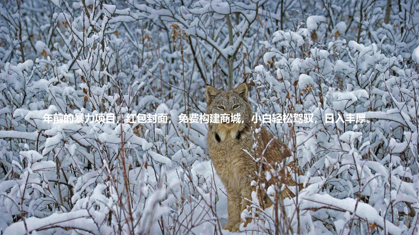 年前的暴力项目，红包封面，免费构建商城，小白轻松驾驭，日入丰厚。