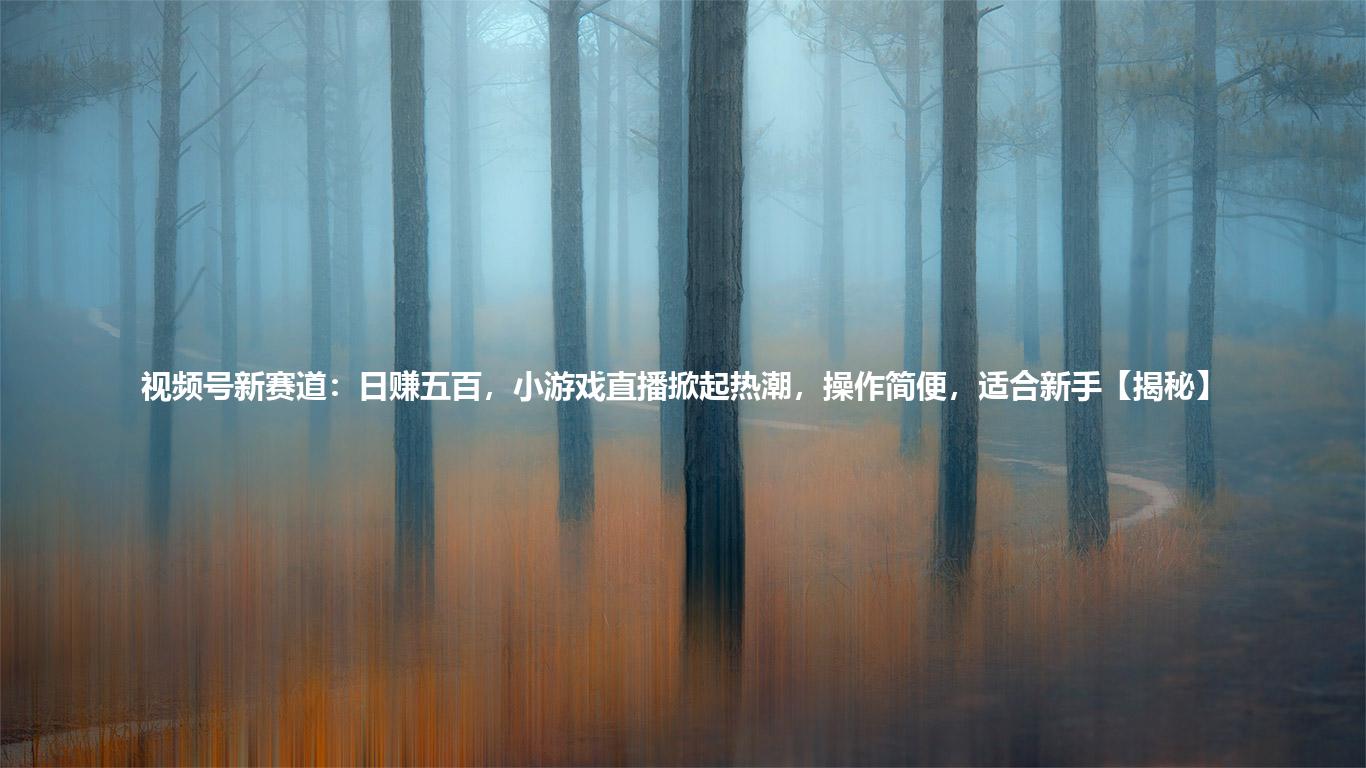 视频号新赛道：日赚五百，小游戏直播掀起热潮，操作简便，适合新手【揭秘】