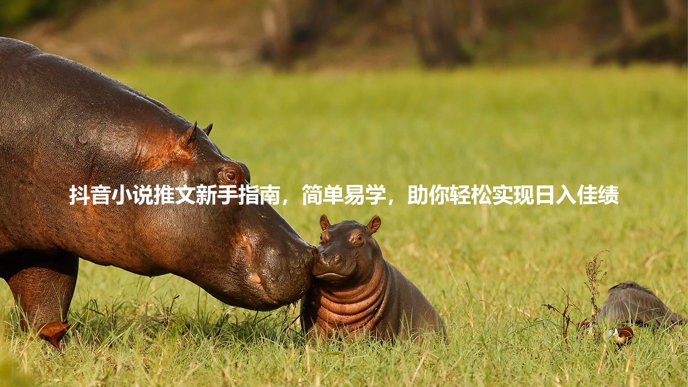 抖音小说推文新手指南，简单易学，助你轻松实现日入佳绩