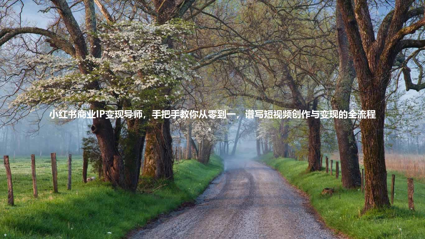 小红书商业IP变现导师，手把手教你从零到一，谱写短视频创作与变现的全流程。