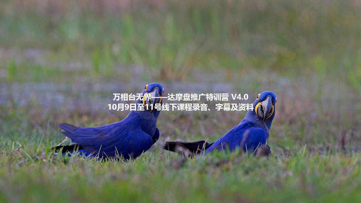 万相台无界——达摩盘推广特训营 V4.0 10月9日至11号线下课程录音、字幕及资料