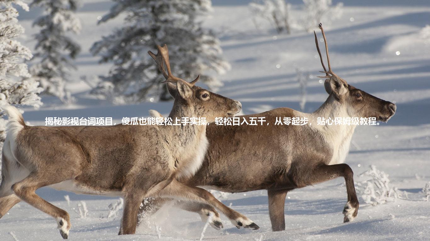 揭秘影视台词项目，傻瓜也能轻松上手实操，轻松日入五千，从零起步，贴心保姆级教程。