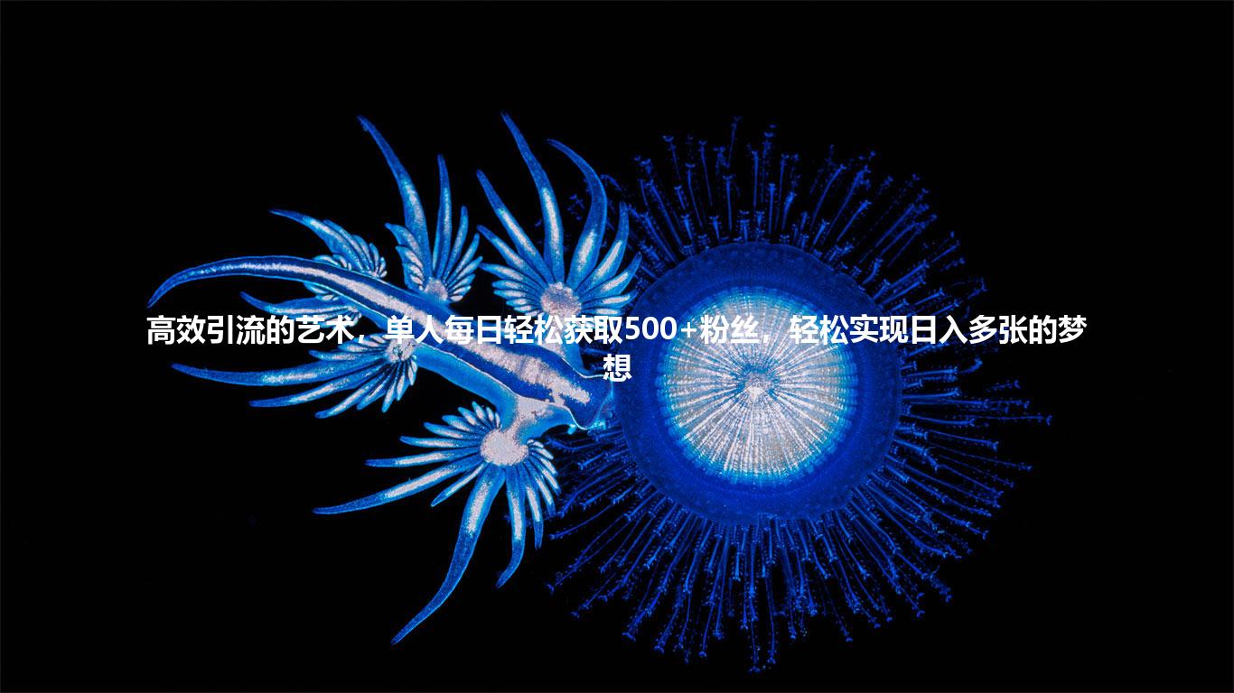 高效引流的艺术，单人每日轻松获取500+粉丝，轻松实现日入多张的梦想