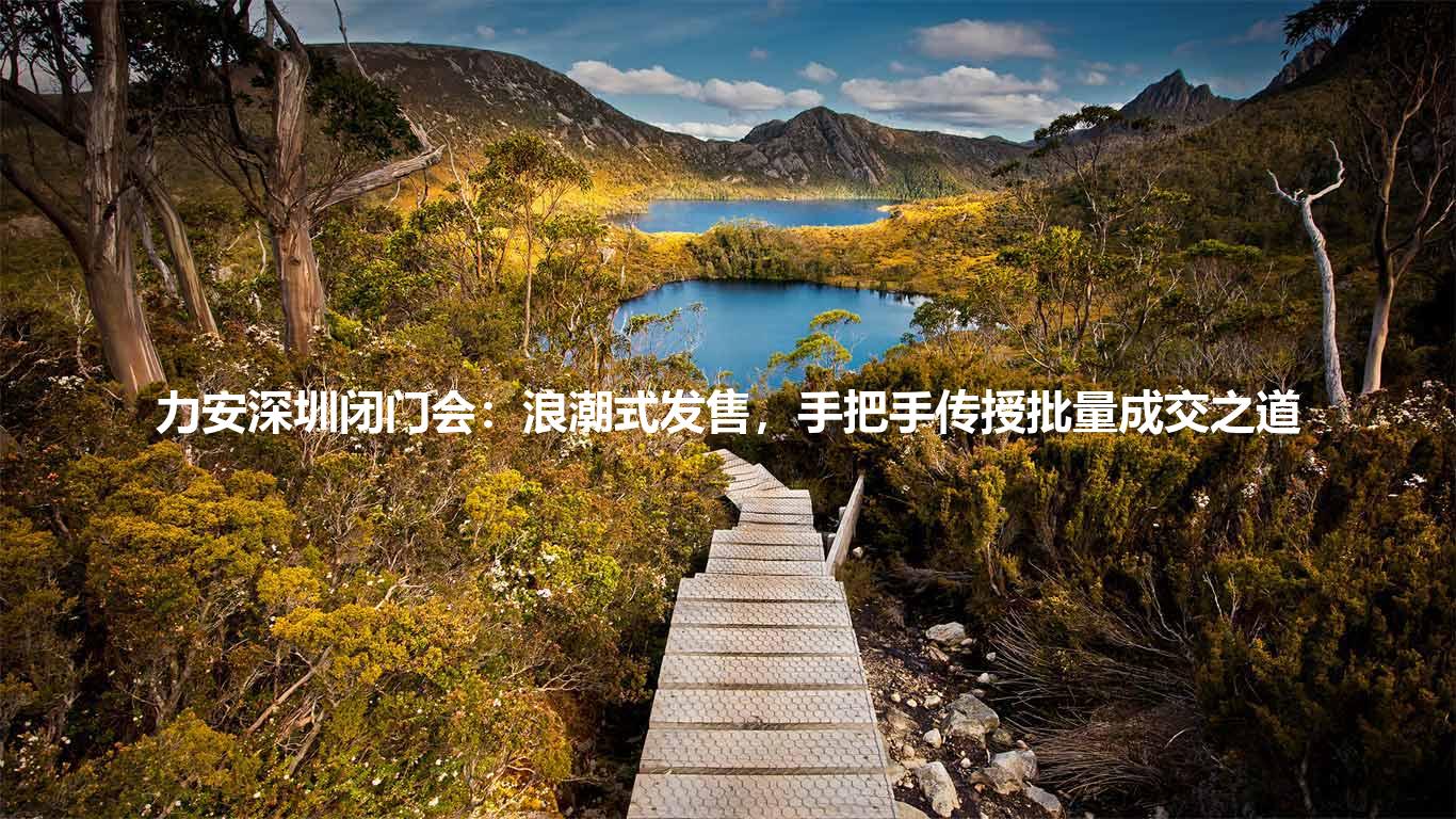 力安深圳闭门会：浪潮式发售，手把手传授批量成交之道