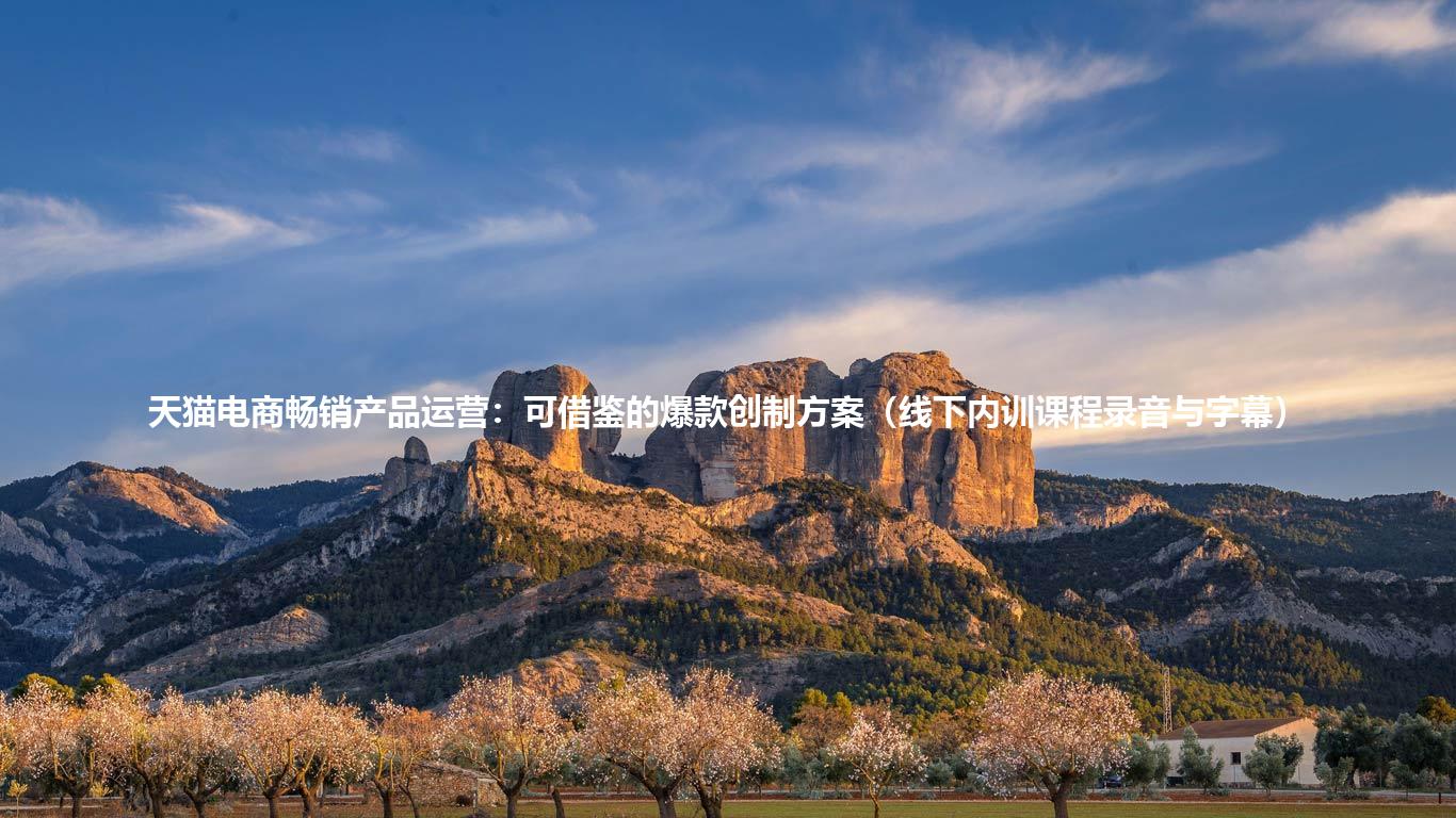 天猫电商畅销产品运营：可借鉴的爆款创制方案（线下内训课程录音与字幕）
