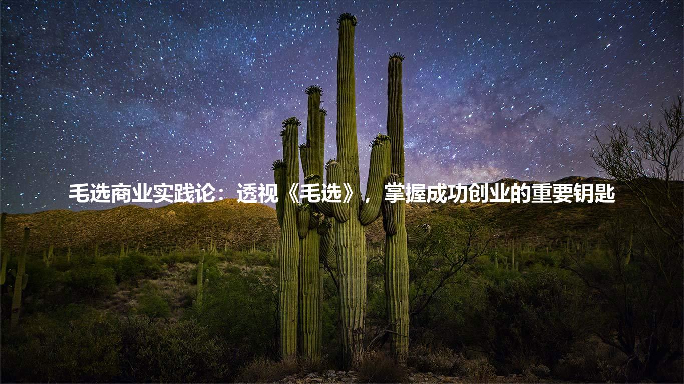 毛选商业实践论：透视《毛选》，掌握成功创业的重要钥匙