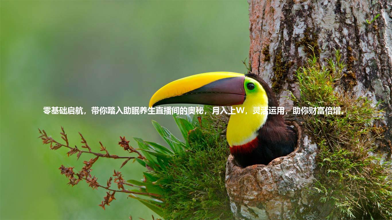 零基础启航，带你踏入助眠养生直播间的奥秘，月入上W，灵活运用，助你财富倍增。