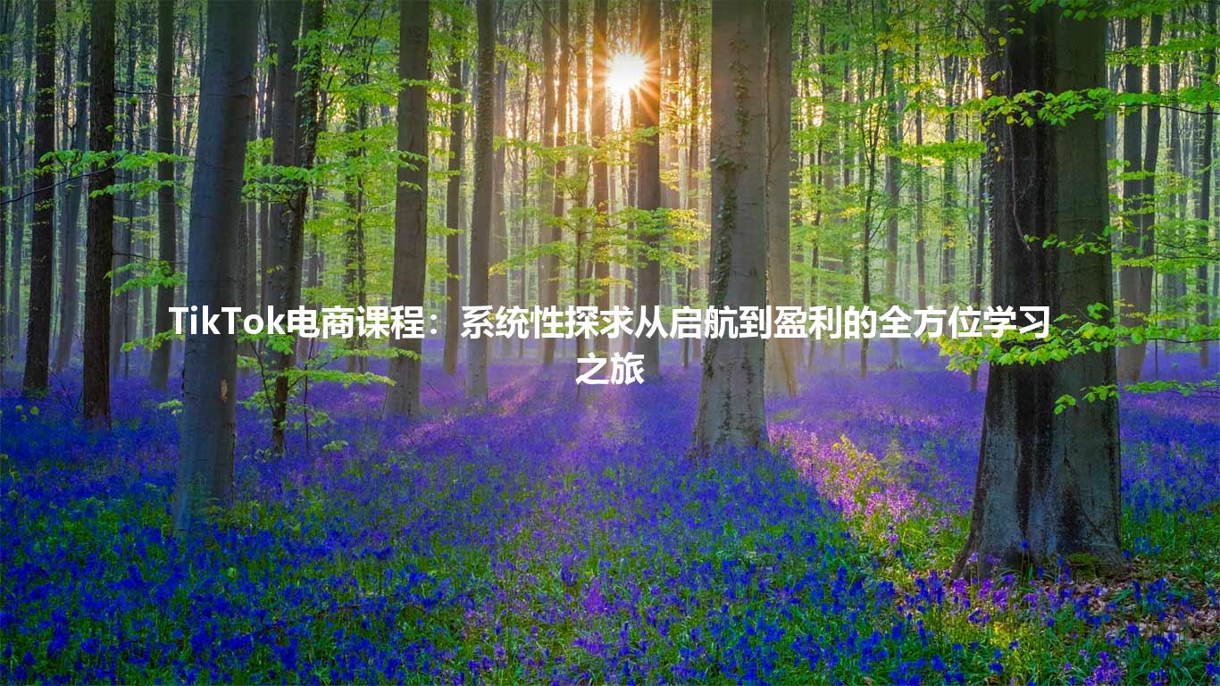 TikTok电商课程：系统性探求从启航到盈利的全方位学习之旅