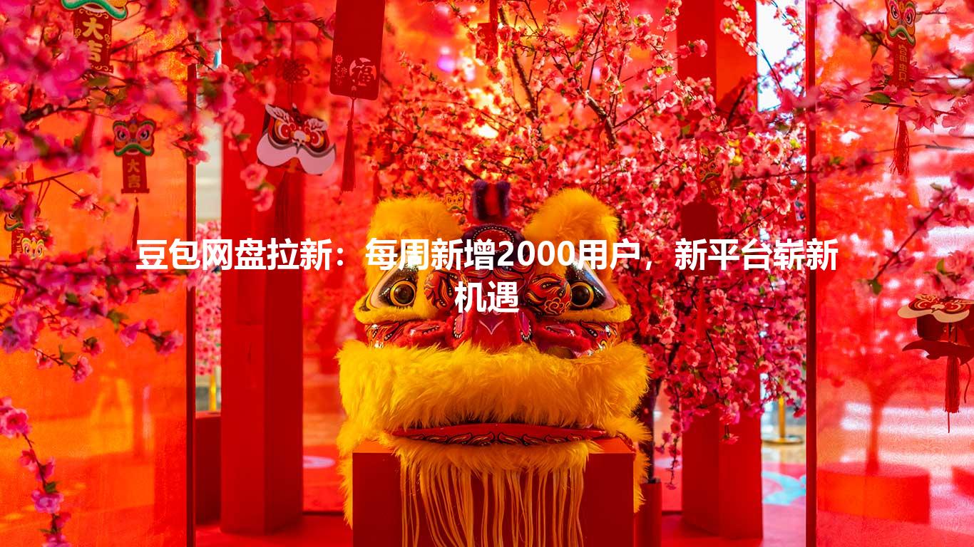 豆包网盘拉新：每周新增2000用户，新平台崭新机遇