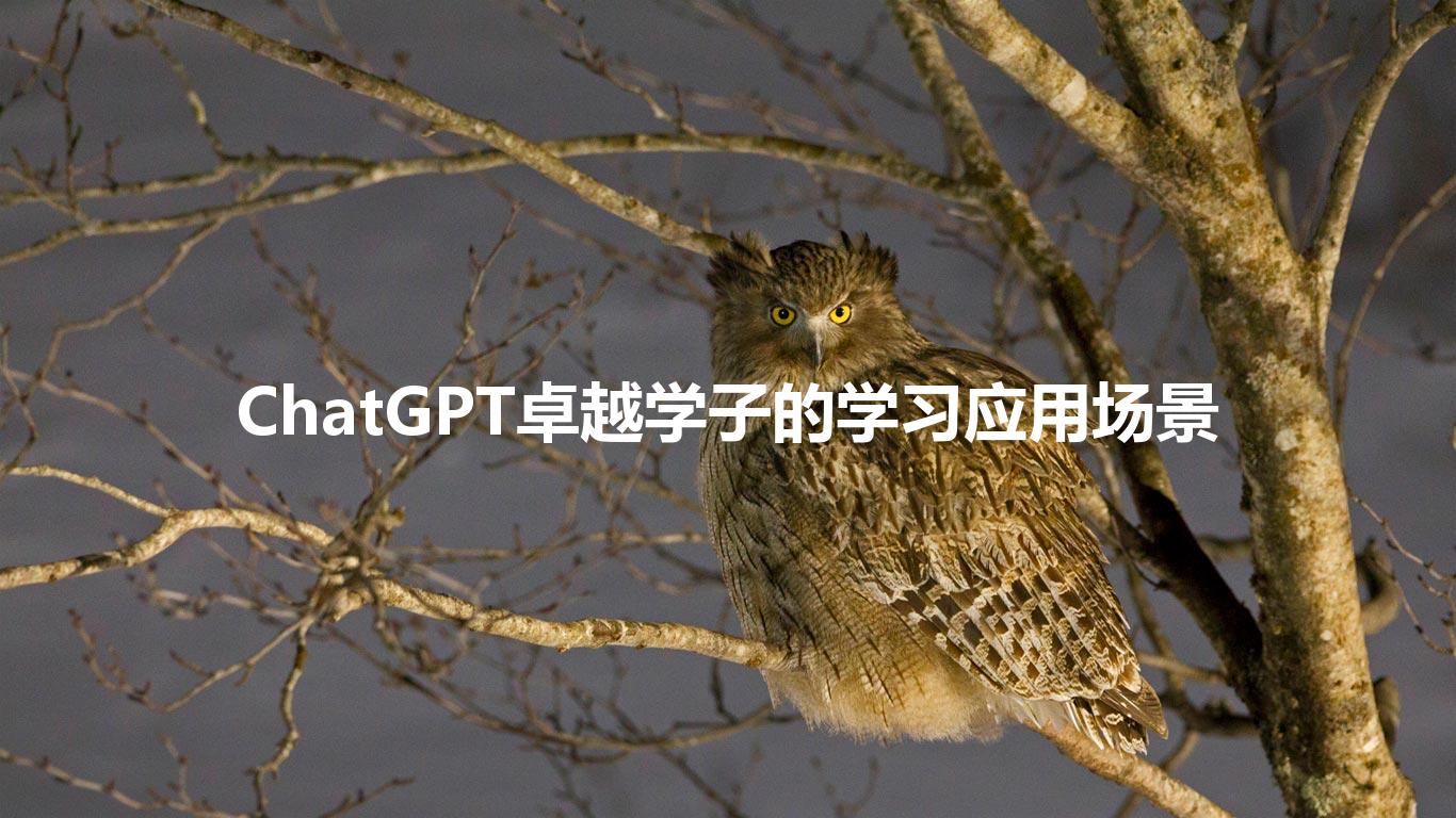 ChatGPT卓越学子的学习应用场景