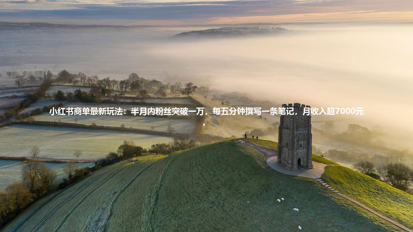 小红书商单最新玩法：半月内粉丝突破一万，每五分钟撰写一条笔记，月收入超7000元。