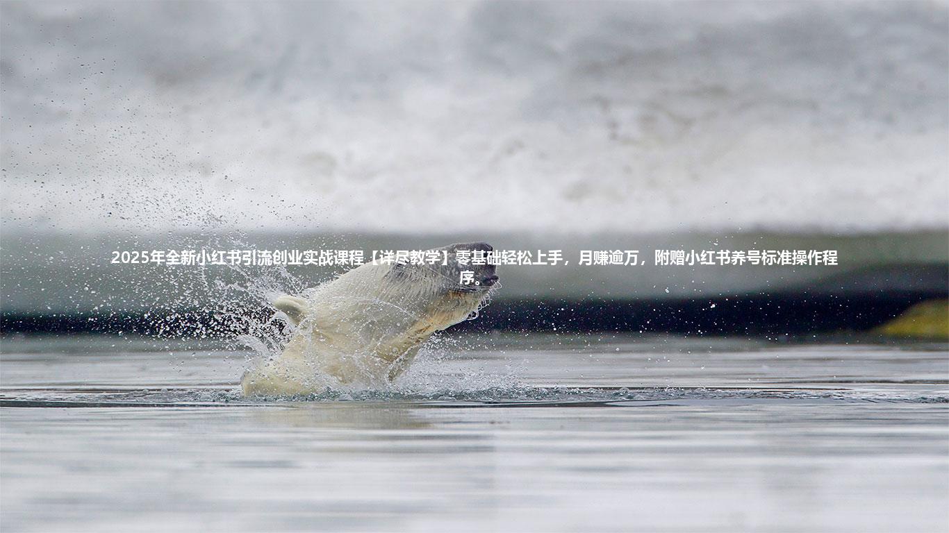 2025年全新小红书引流创业实战课程【详尽教学】零基础轻松上手，月赚逾万，附赠小红书养号标准操作程序。