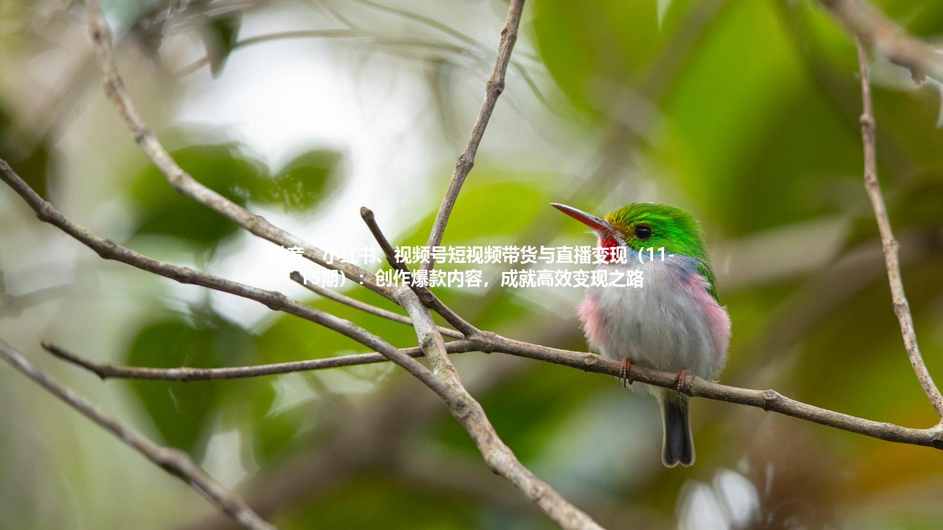 抖音、小红书、视频号短视频带货与直播变现（11-15期）：创作爆款内容，成就高效变现之路