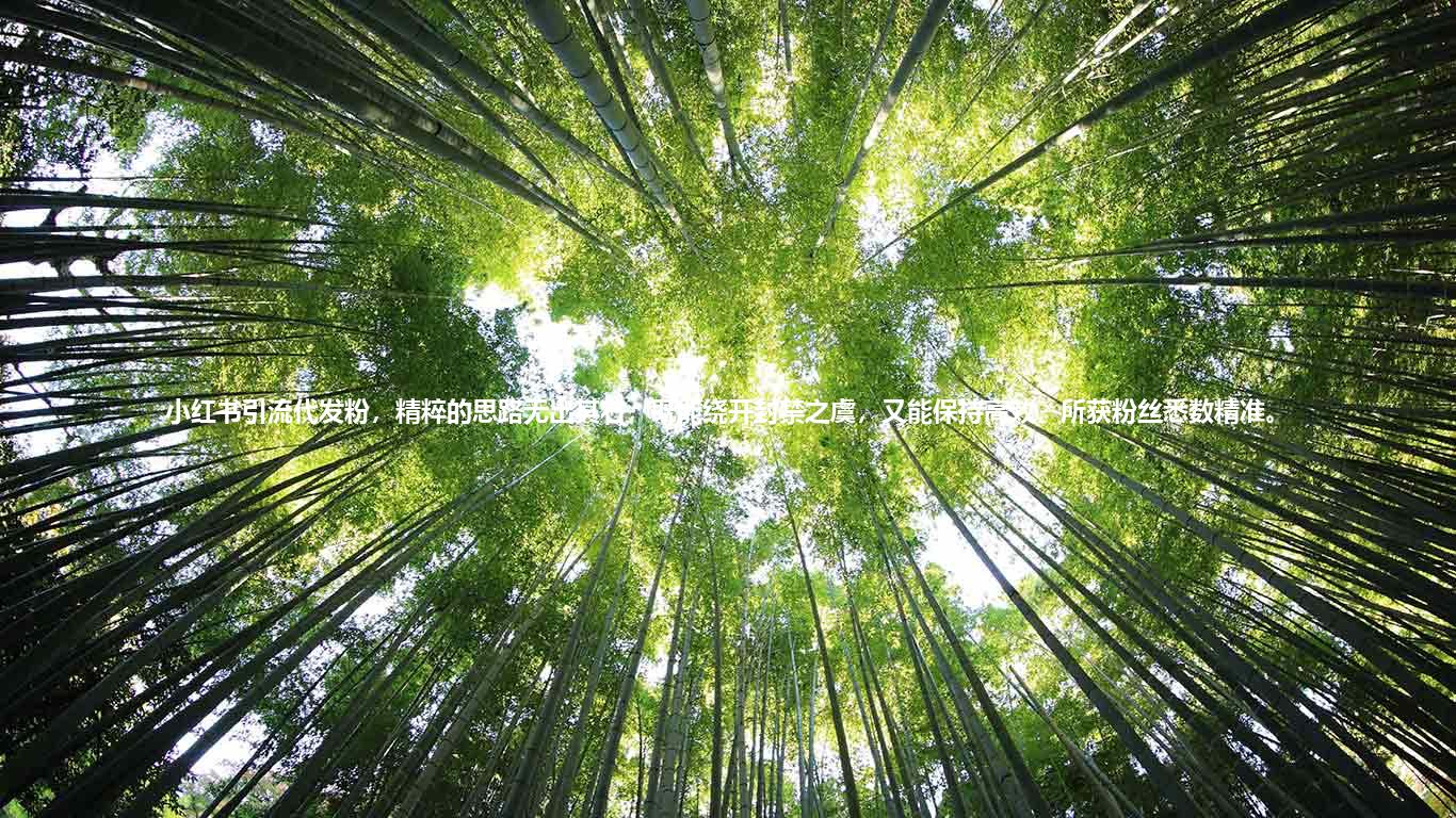 小红书引流代发粉，精粹的思路无出其右，既能绕开封禁之虞，又能保持高效，所获粉丝悉数精准。