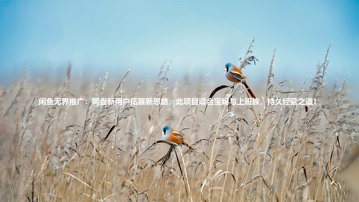 闲鱼无界推广：网盘新用户拓展新思路，此项目适合宝妈与上班族，持久经营之道！